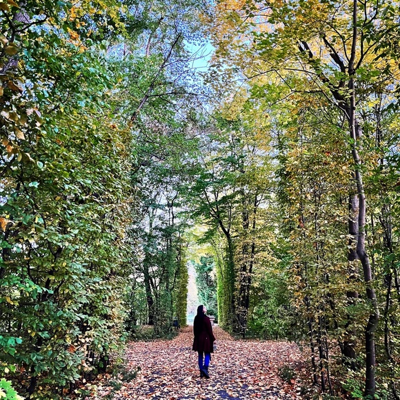 Meet your Posher, Kitten - Picture 3 of 4